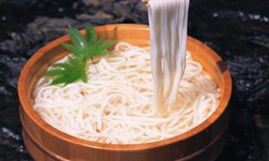 Камаагэ удон