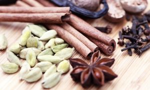 Специи Шри-Ланки. Как мы были в Саду специй