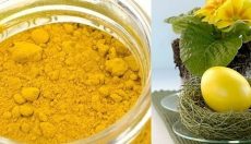 Красим пасхальные яйца в отваре из куркумы